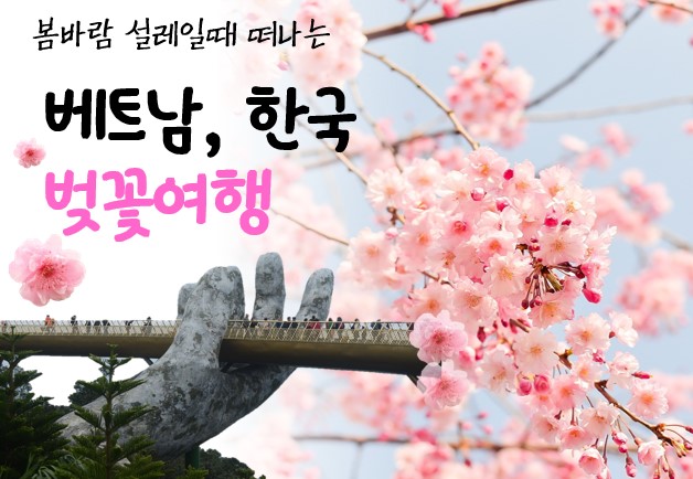 베트남 다낭,호이안+한국 벚꽃투어 11박 12일