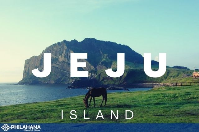 [US] Beautiful Jeju island 2Nights 3Days (Bilingual tour guide)